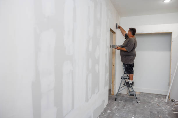 Best Drywall Finishing  in USA